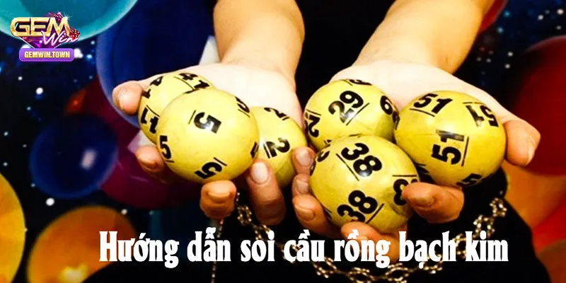 Soi rồng bạch kim và cách thức hoạt động