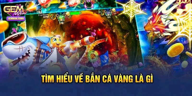 Giới thiệu về trò chơi